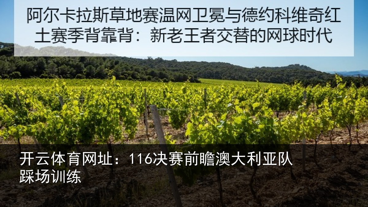开云体育网址：116决赛前瞻澳大利亚队踩场训练