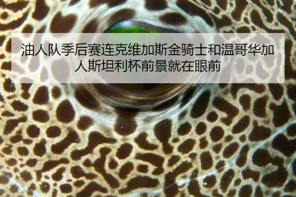 油人队季后赛连克维加斯金骑士和温哥华加人斯坦利杯前景就在眼前