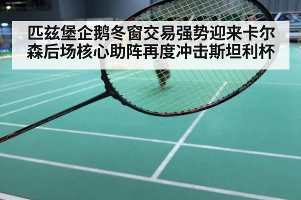 匹兹堡企鹅冬窗交易强势迎来卡尔森后场核心助阵再度冲击斯坦利杯